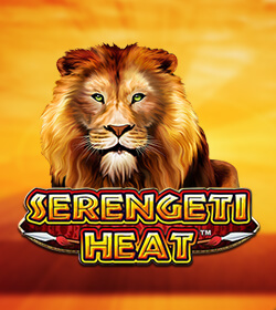 Serengeti Heat
